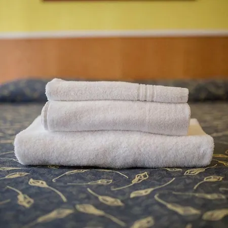 Hotel Benacus Bardolino